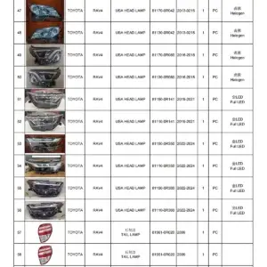 Toyota RAV4 OEM & USA Version Headlight / Taillamp Parts 2009-2024
